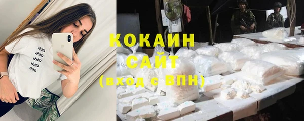прущие грибы Армянск