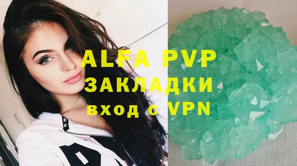 амф Аркадак