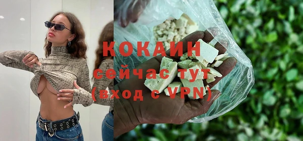 прущие грибы Армянск