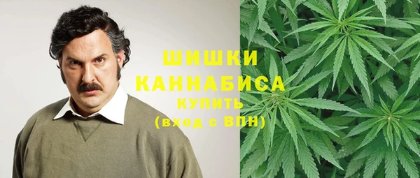 прущие грибы Армянск