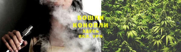 прущие грибы Армянск