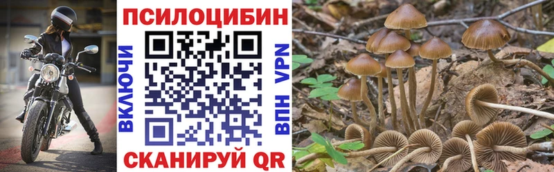Галлюциногенные грибы Psilocybine cubensis  ссылка на мегу ONION  Баксан 